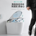 Toilette intelligente con sciacquone automatico